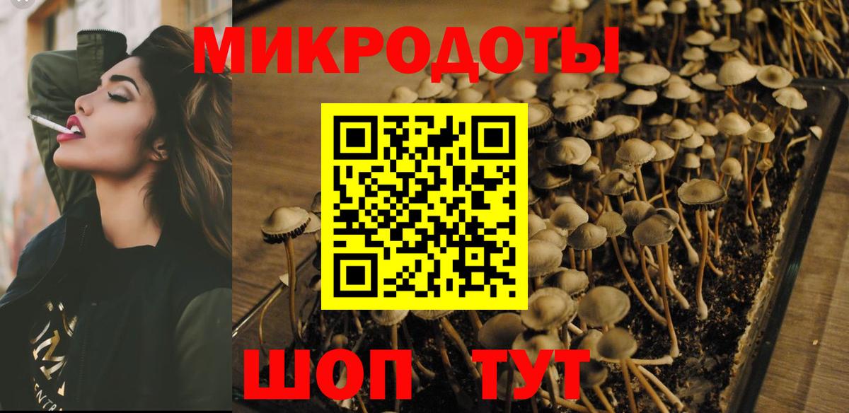 Псилоцибиновые грибы ЛСД  Вход с VPN  Псилоцибиновые грибы ЛСД  Аргун 