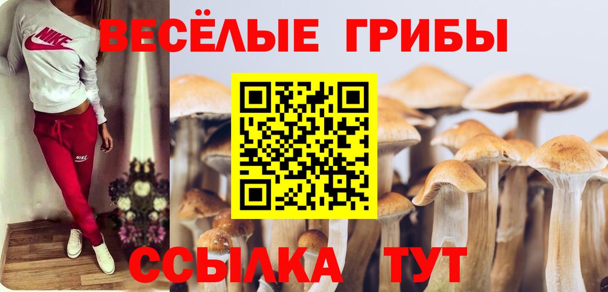 Галлюциногенные грибы ЛСД Аргун